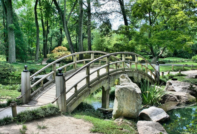 Whimsical Garden