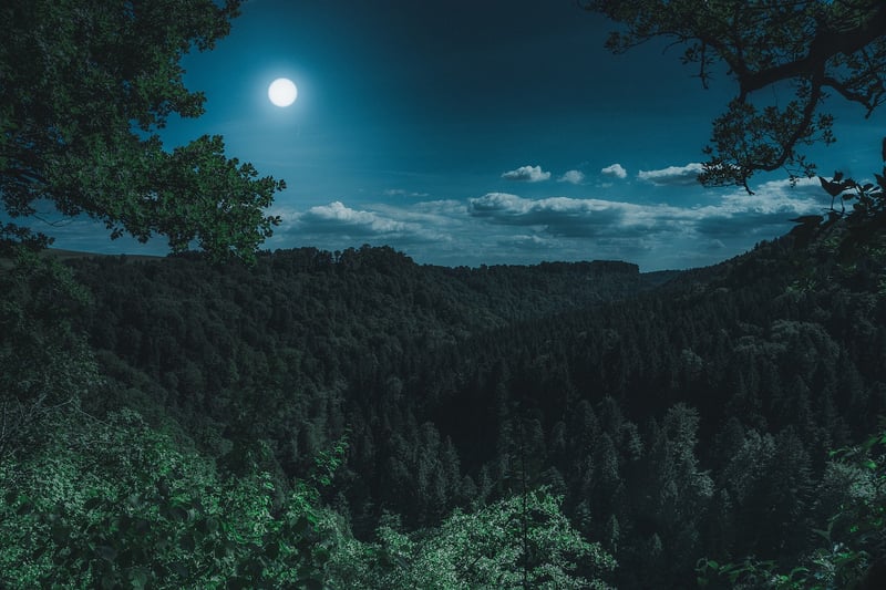 Ethereal Moonlit Forest Cake